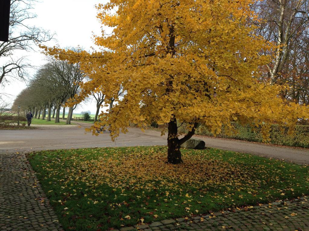 Wirketorp Countryside Hotel Kävlinge Exterior foto