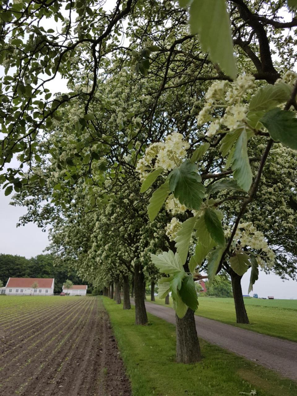 Wirketorp Countryside Hotel Kävlinge Exterior foto